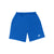BLUE ASTER/SODALITE BLUE / J120